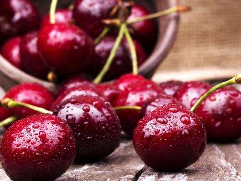 Вишня купить саженцы из питомника в Арсеньеве